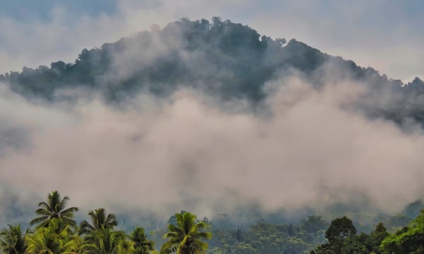 Indonesia to Punish Companies for Environmental Violations at Sulawesi Industrial Park