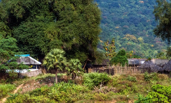 How ‘Green’ Narratives Are Used to Dismantle Indigenous Rights in India