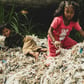 Indonesia’s Ban on Importing Plastic Waste Met With Cautious Optimism From Campaigners